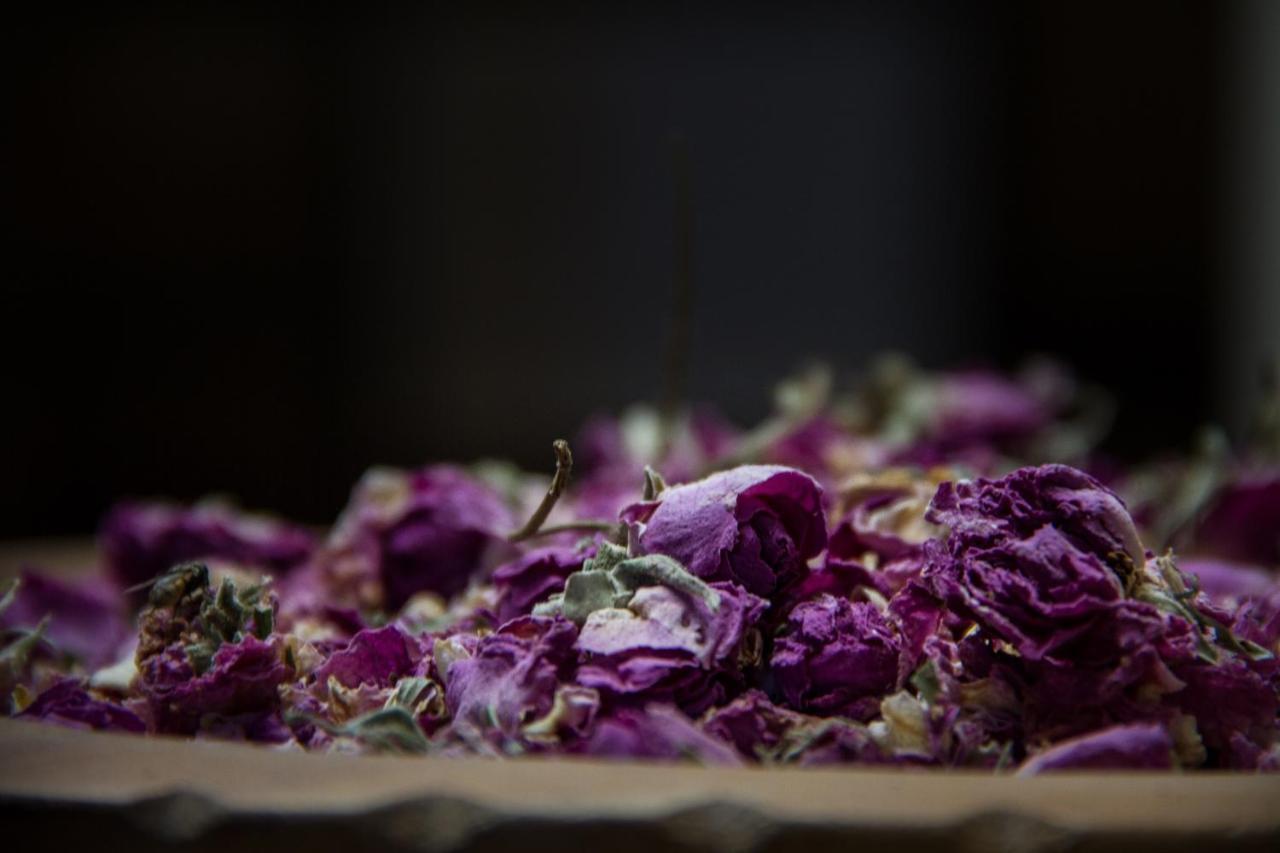 Riad Tama & Spa Варзазат Екстериор снимка