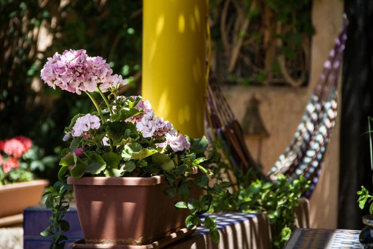 Riad Tama & Spa Варзазат Екстериор снимка